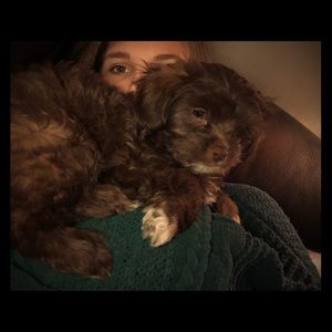 Meet your Posher, Summer